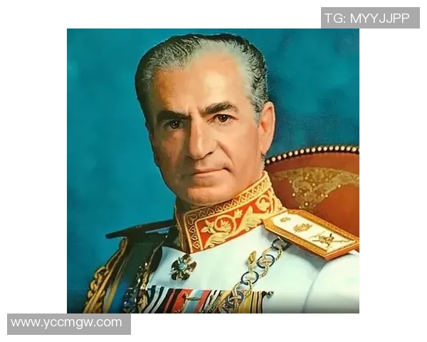 足球硬汉C的传奇故事与不屈精神揭示了体育的真正魅力与团队合作的重要性